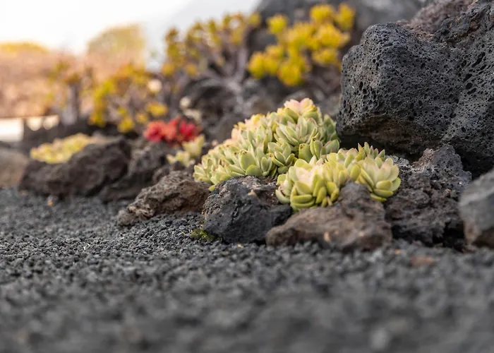 Сasa de vacaciones Casa Alice Playa Blanca (Lanzarote)