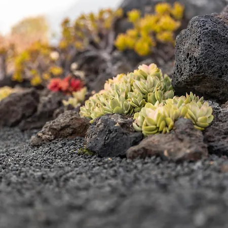 Vakantiehuis Casa Alice Playa Blanca (Lanzarote)